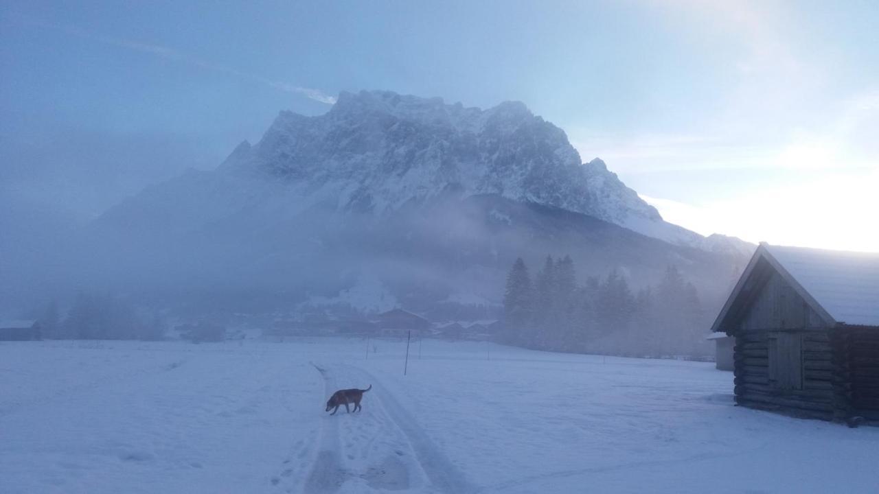 Tyrol Appartements Ehrwald Luaran gambar
