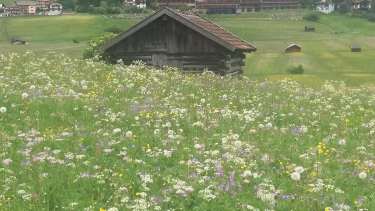 Tyrol Appartements Ehrwald Luaran gambar