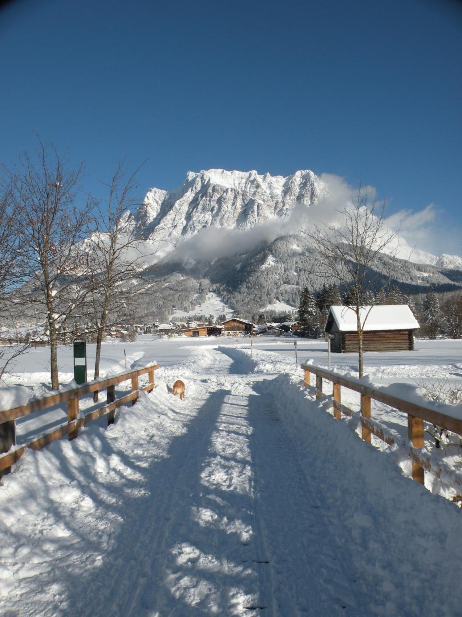 Tyrol Appartements Ehrwald Luaran gambar
